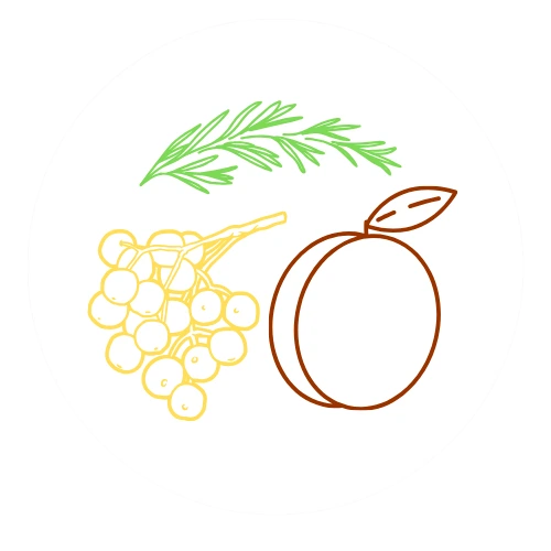 Grafik mit Obst und Kräutern